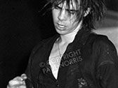 A photo of Nick Cave