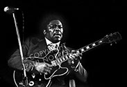 A picture of BB King taken at the Colston Hall, Bristol, UK