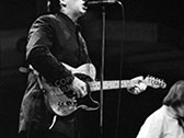 A photo of Elvis Costello taken at Glastonbury 1984.