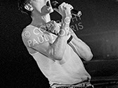 A photo of Feargal Sharkey of The Undertones.